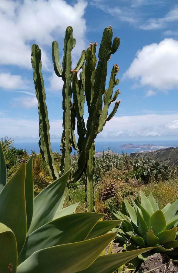 *****Finca Bella Vista أروكاس المظهر الخارجي الصورة